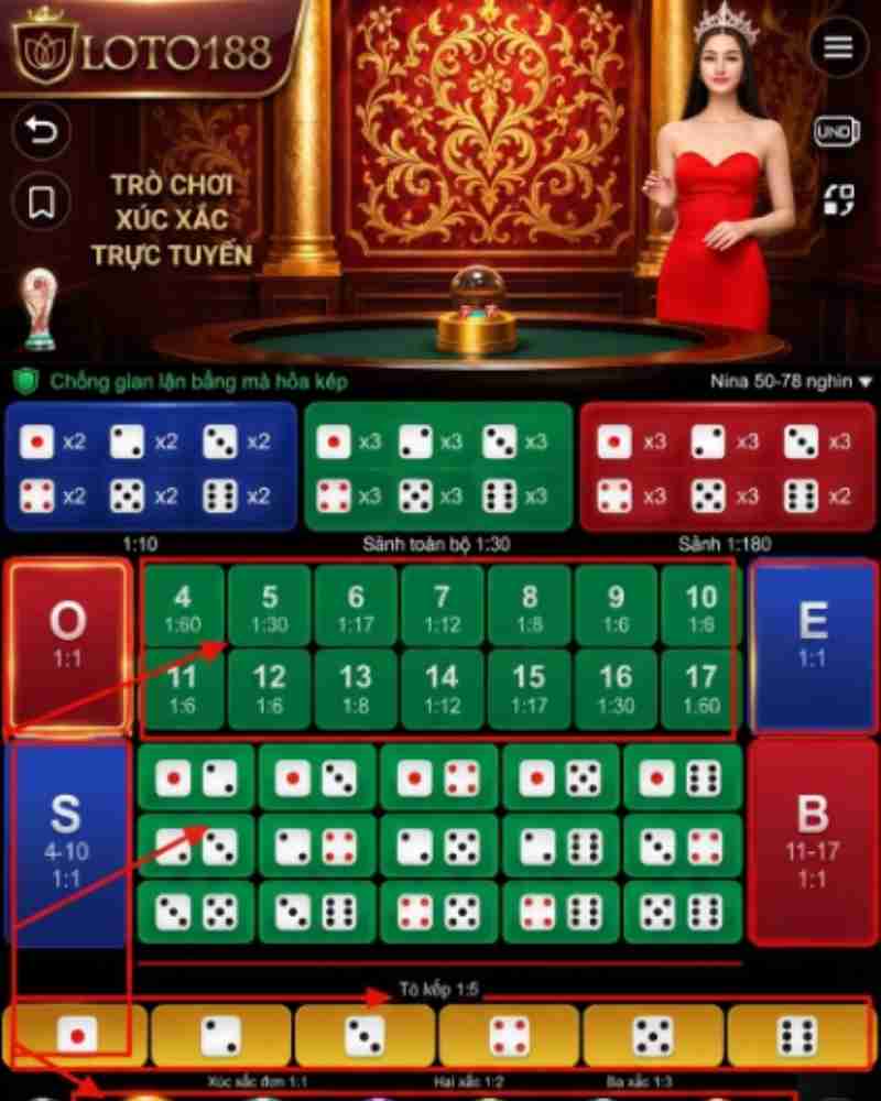 Theo dõi kết quả, lịch sử và số dư tại loto188