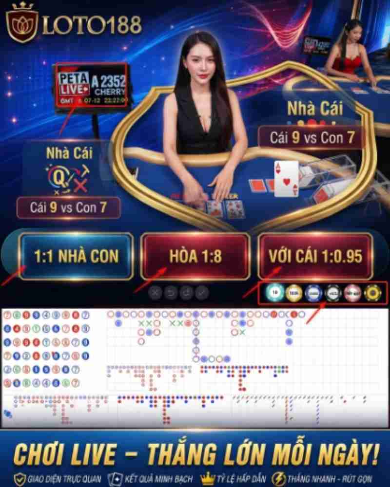 Tổng quan sảnh Peta Live tại loto188 và hướng dẫn cách chơi